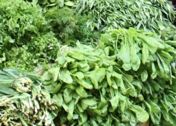 בד”צ העדה”ח: יש מחסור בירקות עלים בשל המצב