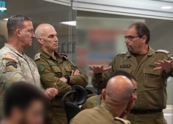 סימן למתיחות? קורילה נחת בישראל