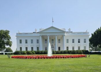 המגמה השתנתה: טראמפ מוביל על האריס