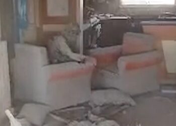 צפו: רגעיו האחרונים של סינוואר – חי כמו עכברוש ומת ככלב