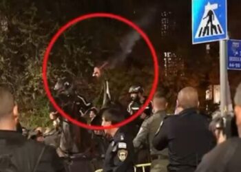 כתב אישום נגד המפגין שזרק לפיד לעבר סוס משטרתי