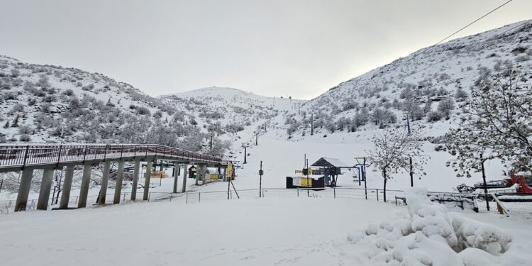 40 סמ’ שלג בחרמון שנצבע לבן