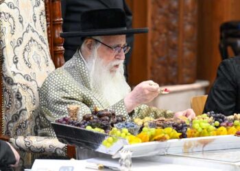 כ”ק האדמו”ר מצאנז ערך שולחנו לרגל טו’ בשבט