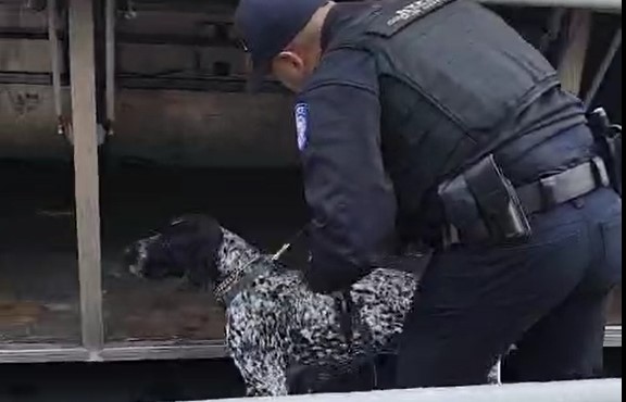 ניו יורק: בדיקות קפדניות סביב כינוס השלוחות של חב"ד