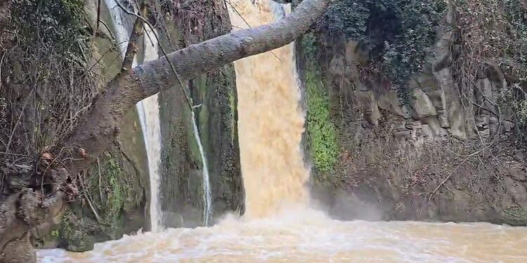 מה רבו: צפו בזרימה החזקה הבוקר בבניאס
