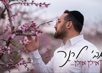 לרגל ט”ו בשבט: אבי לרנר בקאבר מסקרן “אילן אילן”