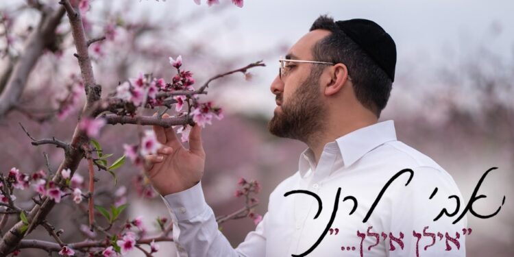 לרגל ט”ו בשבט: אבי לרנר בקאבר מסקרן “אילן אילן”