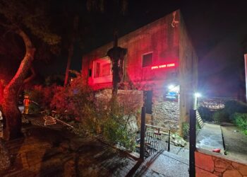 חיפה: עץ צמוד לבית כנסת עלה באש – המתפללים פונו תוך כדי קריאת מגילה