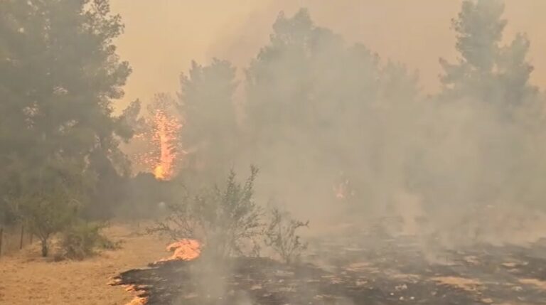 שריפת ענק באזור בית שמש; יישובים באזור פונו