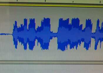 רעידת אדמה הורגשה הלילה בישראל