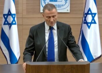 אדלשטיין: הסעיפים מהותיים -בלעדיהם זה חוק בלוף