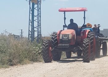 צו הבצורת נחתם – ינתן פיצוי לחקלאים