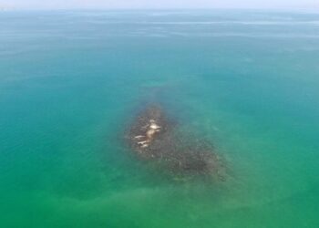 אחרי 5 שנים האי בכנרת הופיע בשל מפלס נמוך