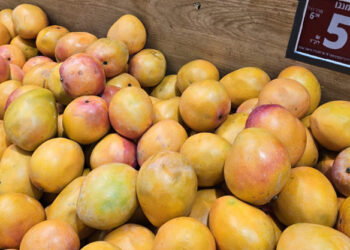 זו הסיבה למה מחירי המנגו השנה נמוכים