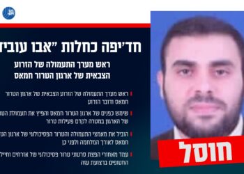 עכשיו זה רשמית: חוסל דובר החמאס אבו עובידה