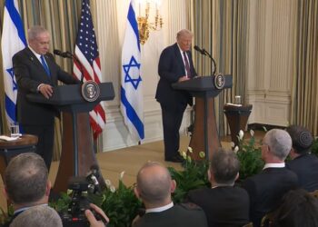 טראמפ הציג תוכניתו: תוך 72 שעות ישוחררו כל החטופים