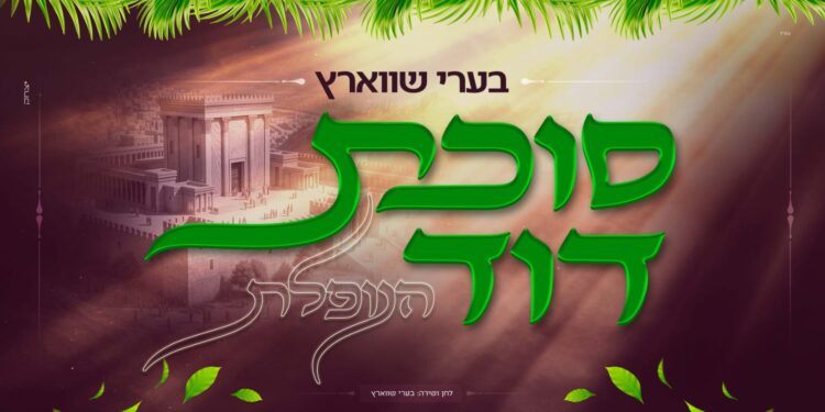 בערי שווארץ בסינגל מרגש