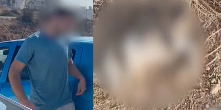 מודיעין עילית: נעצר חשוד בהריגת חתול