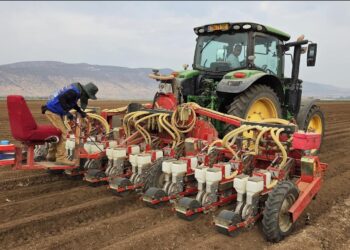 בשל המחסור במים: ייובשו 30 אלף דונם – הנזק: מעל ל-65 מיליון