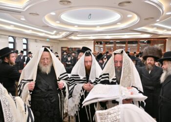 שמחת הברית לנכד כ”ק אדמו”ר מטאלנא שליט”א