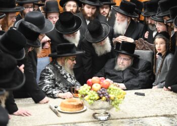 כ”ק האדמו”ר מסאטמר נחת בארץ – הערב נפגש עם אדמו”רים