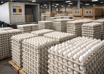 היעד הנוסף לייבוא ביצים לישראל: רומניה