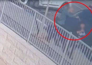 בית שמש: כתב אישום נגד תושב העיר שתקף פקחית