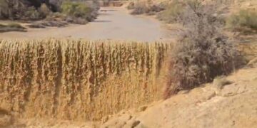 צפו: השטפונות בערבה התיכונה