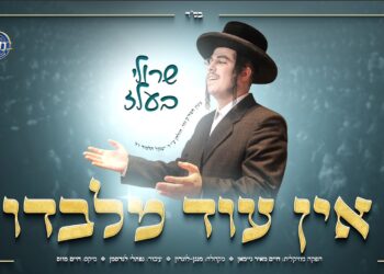 שרולי בעלז ומקהלת ‘מנגן’ בלהיט “אין עוד מלבדו”