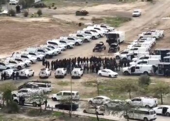 צפו: הפעולה בתראבין: “אנחנו נכנסים להילחם בעבריינים”