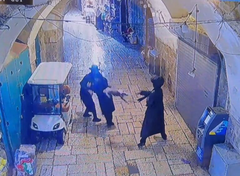 צפו: צער בעלי חיים - כך מתנהג בחור ישיבה?