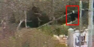 צפת: נפלה לפיר ואותרה בזכות מלמות אבטחה – מצבה קשה