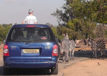 אחרי 52 שנים הספארי ברמת גן עובר מקום