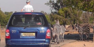 אחרי 52 שנים הספארי ברמת גן עובר מקום