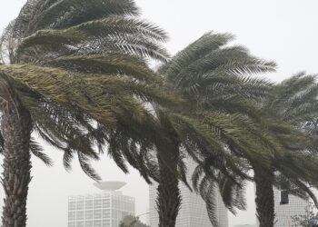 מנהל השירות המטאורולוגי: ״הולכים ליממה קיצונית. צמצמו פעילויות בחוץ״