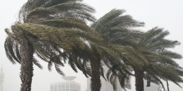 מנהל השירות המטאורולוגי: ״הולכים ליממה קיצונית. צמצמו פעילויות בחוץ״