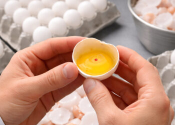 האם הרבנות הראשית שוקלת לבטל את נוהל בדיקת דם בביצים