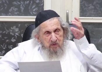 מרן הגר”ד לנדו: מי שיוצאים להפגנות הם מזיקים גדולים