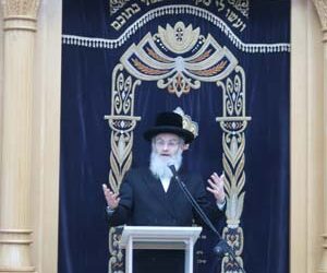 מהו הכינוס בסערט ויז’ניץ שהוגדר כאסיפה נחוצה מאוד