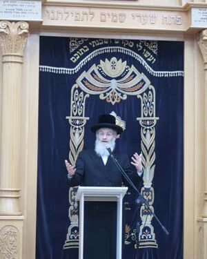 מהו הכינוס בסערט ויז’ניץ שהוגדר כאסיפה נחוצה מאוד