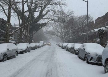 צפו: שלג בבורו פארק, קראון הייטס ומונסי