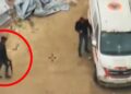 צפו: חמאס מעביר אמל”ח באמצעות אמבולנסים