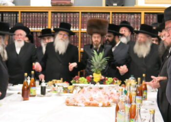 האדמו”ר מסדיגורה שליט”א בטיש טו בשבט באנטווערפן