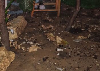 בת ים: תשמישי קדושה נשרפו לפנות בוקר