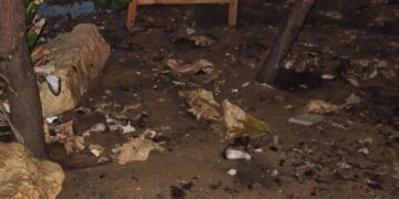 בת ים: תשמישי קדושה נשרפו לפנות בוקר