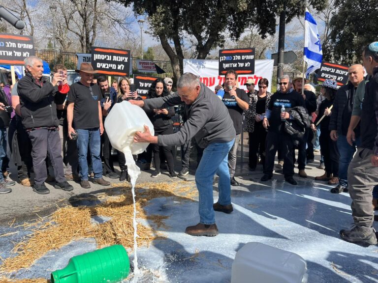 צפו: הרפתנים שפכו ליטרים של חלב מחאה על הרפורמה