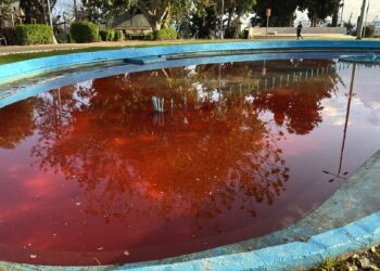 חיפה: הושחתה המזרקה בגן הזכרון – 4 חשודים עוכבו