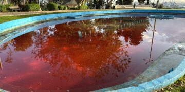 חיפה: הושחתה המזרקה בגן הזכרון – 4 חשודים עוכבו