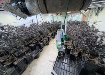 הזוי: דירת המגורים בבני ברק ששימשה למעבדת גידול סמים