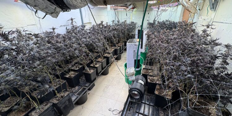 הזוי: דירת המגורים בבני ברק ששימשה למעבדת גידול סמים